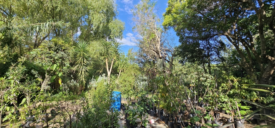 5 Bedroom Property for Sale in Swellendam Western Cape